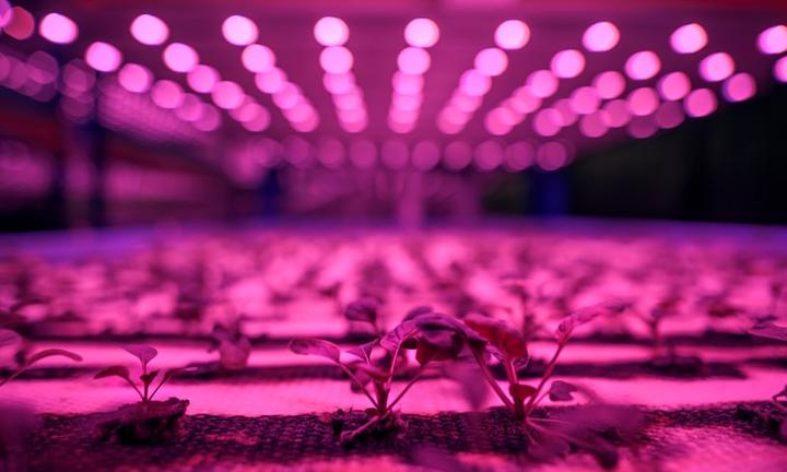 Vertical Farming